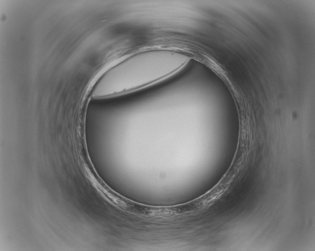 X0000057060803200509090816