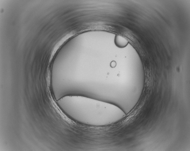 X0000057060804200509090816