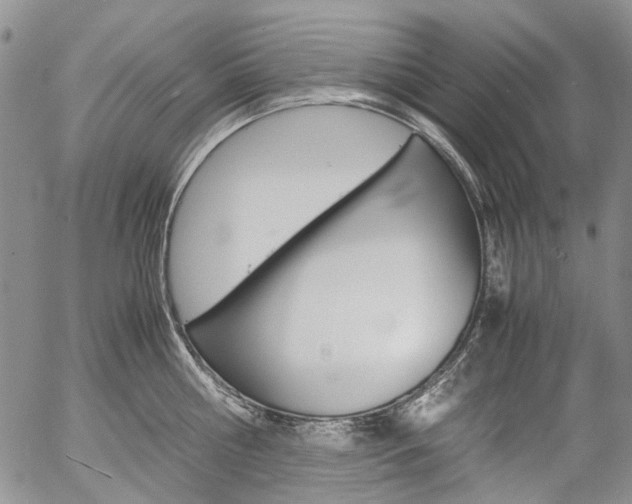 X0000057060810200509090815