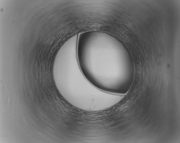 X0000057060818200509090815