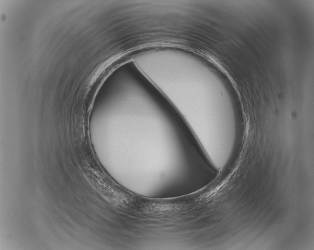 X0000057060829200509090815