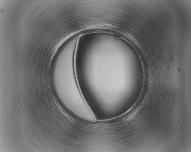 X0000057060830200509090815