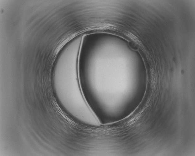 X0000057060834200509090815