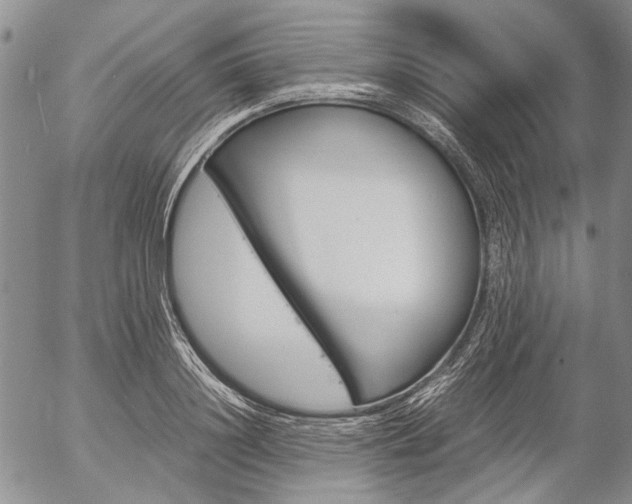 X0000057060844200509090815
