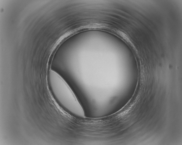 X0000057060845200509090815