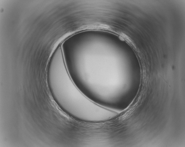 X0000057060854200509090815