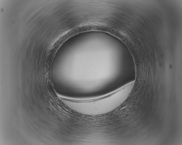 X0000057060872200509090814