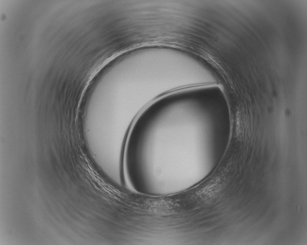 X0000057060876200509090814