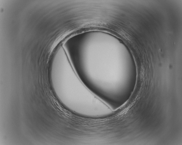 X0000057060877200509090814