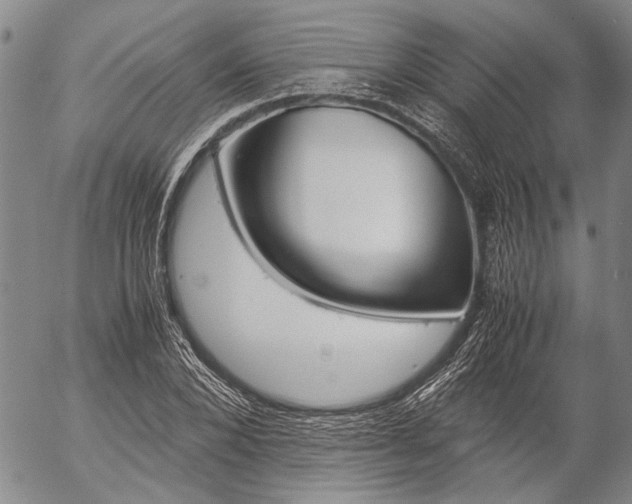 X0000057060880200509090814