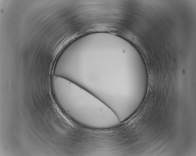 X0000057060890200509090814