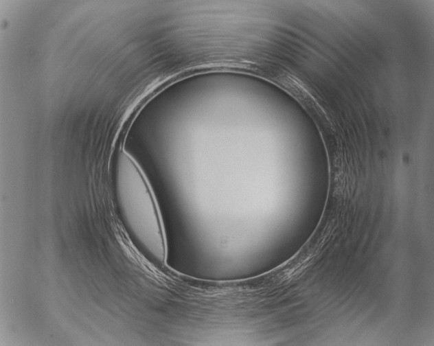 X0000057060892200509090814