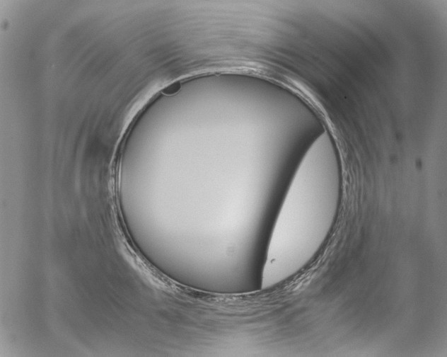 X0000057060907200509090814