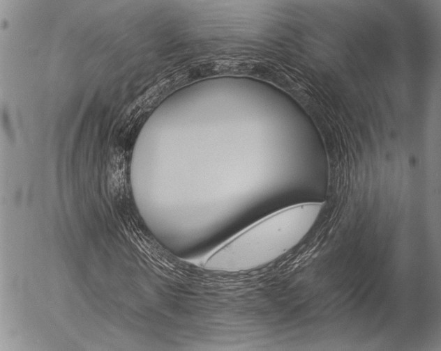 X0000057060914200509090813