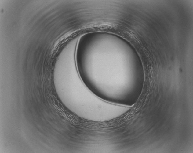 X0000057060920200509090813