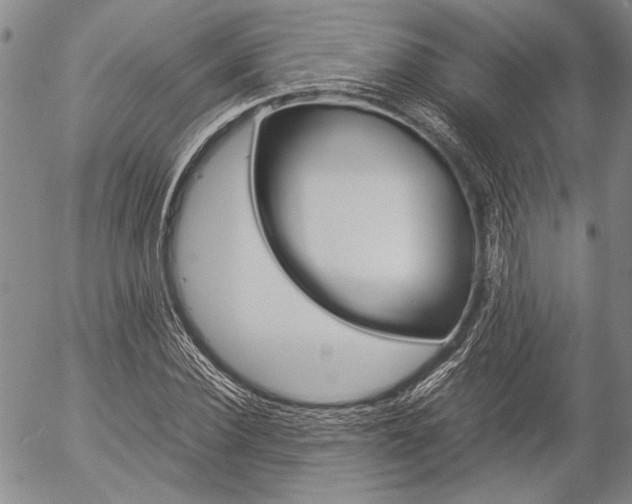 X0000057060924200509090813