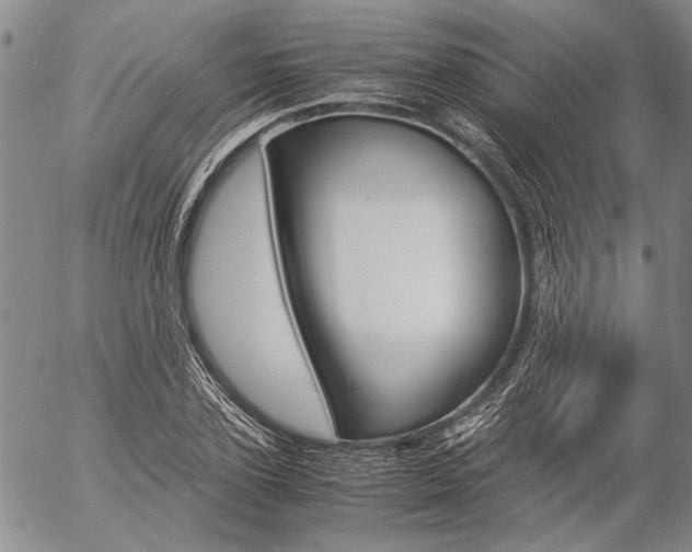 X0000057060931200509090813