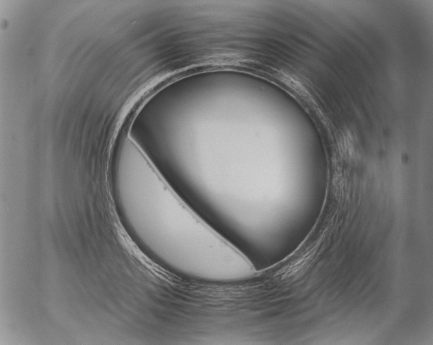 X0000057060939200509090813