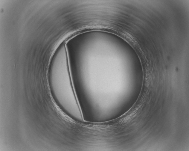 X0000057060942200509090813