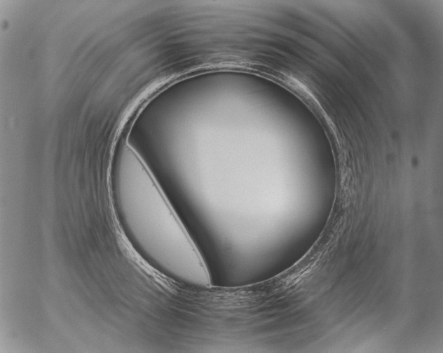 X0000057060947200509090814