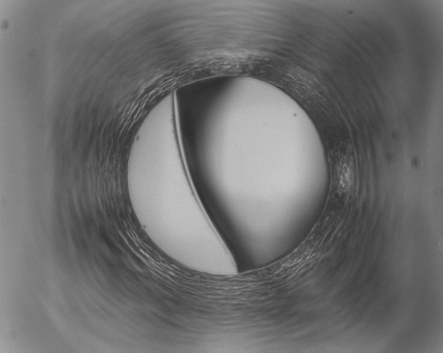 X0000057060964200509090813