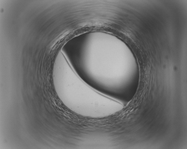 X0000057060967200509090813