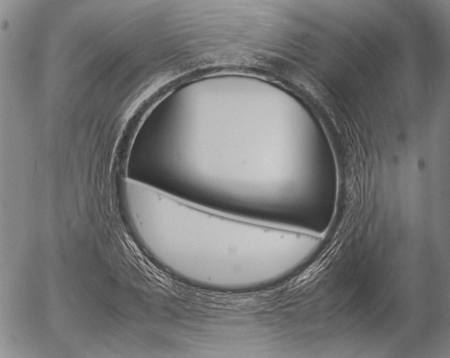 X0000057060975200509090813