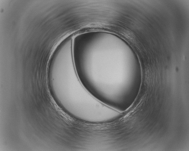 X0000057060976200509090813