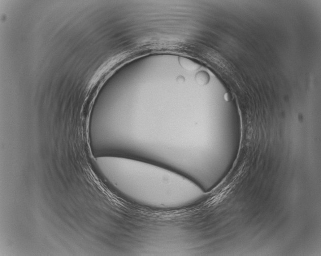 X0000057060978200509090813
