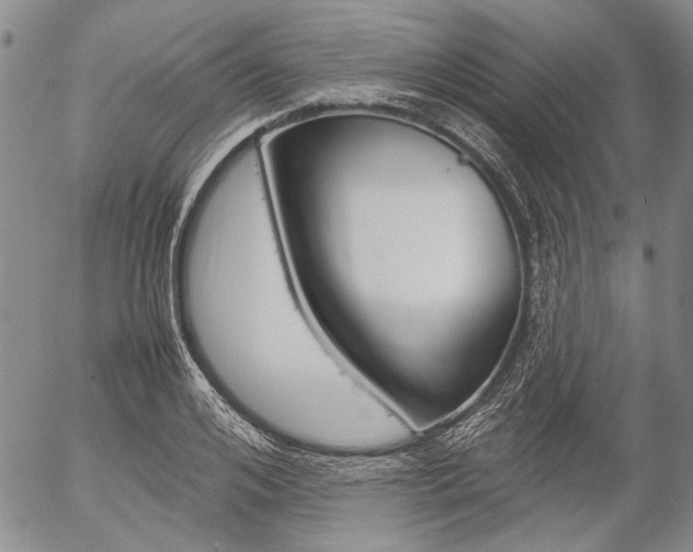 X0000057060984200509090813