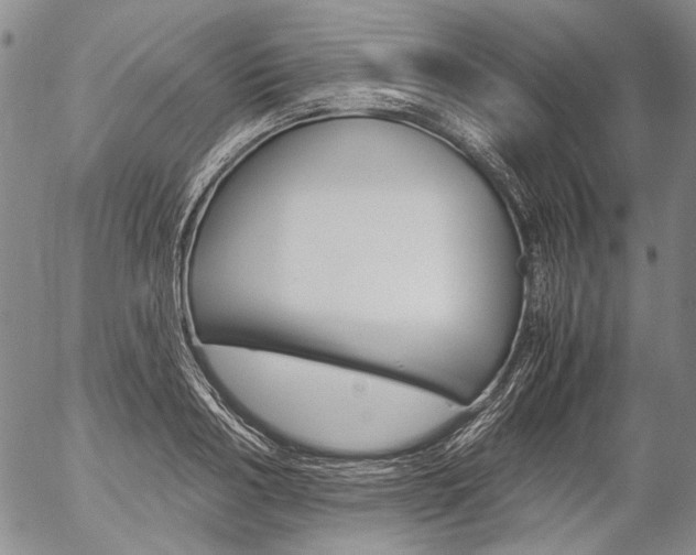 X0000057060986200509090813
