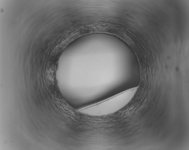 X0000057061010200509090811