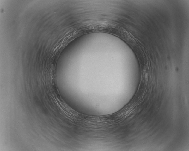 X0000057061012200509090811