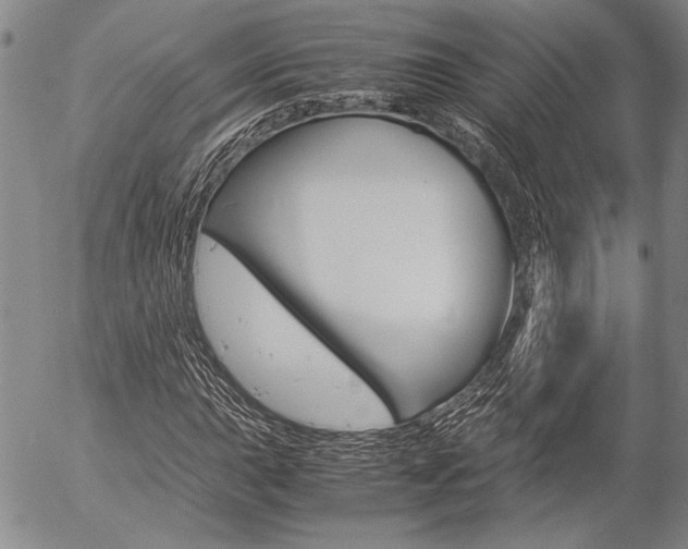 X0000057061015200509090811