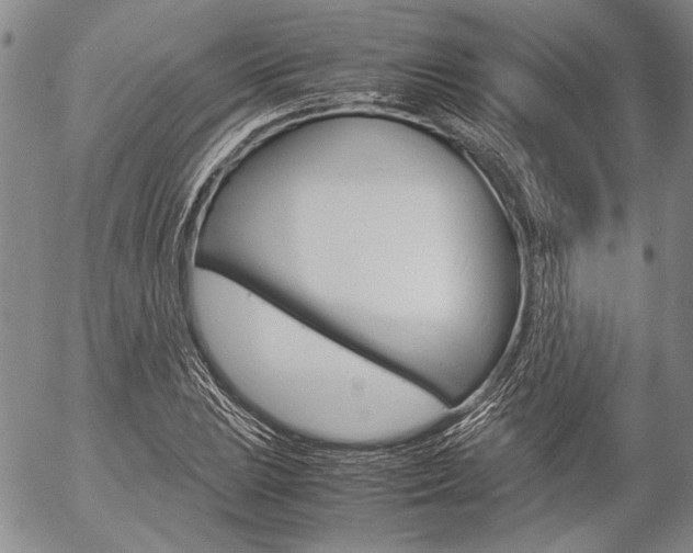 X0000057061023200509090812