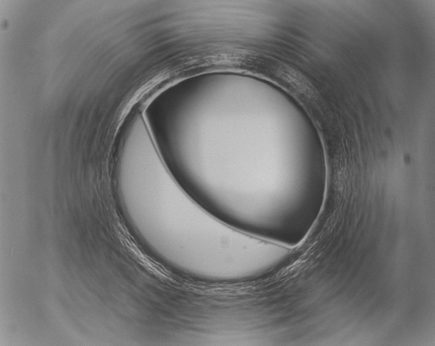 X0000057061026200509090812