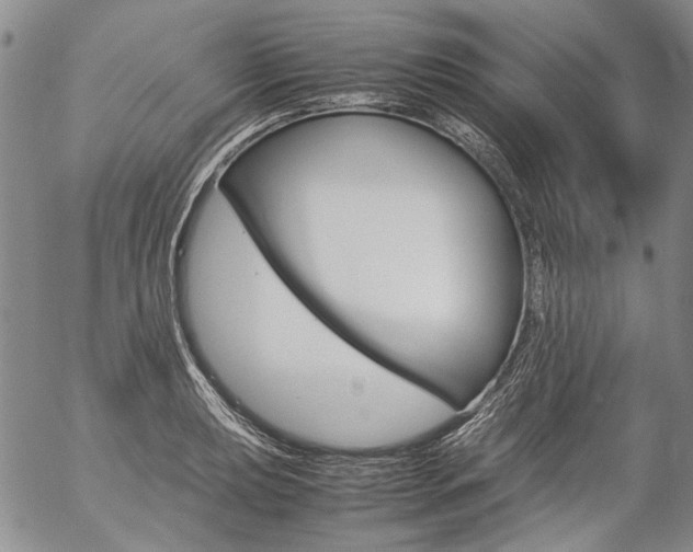X0000057061039200509090812