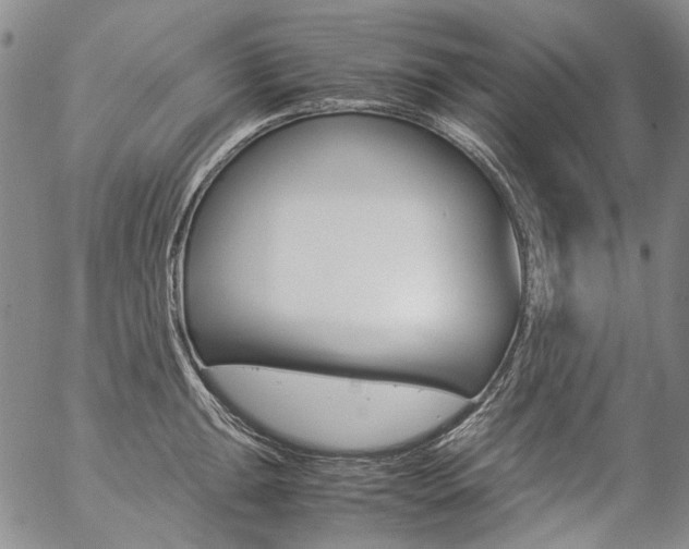 X0000057061047200509090812