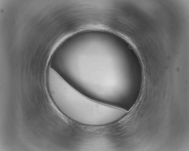 X0000057061056200509090812