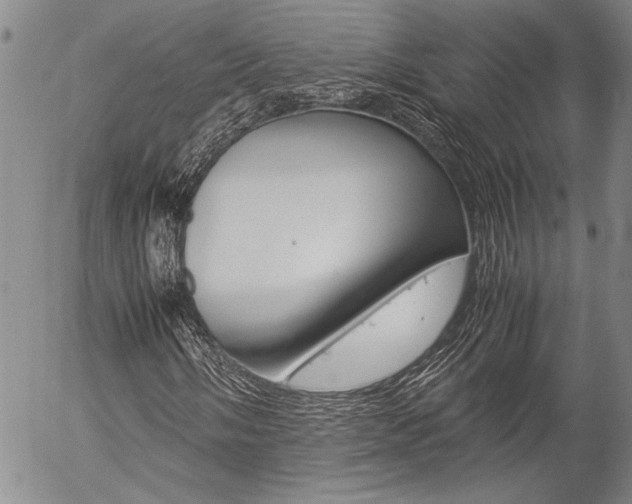 X0000057061058200509090811