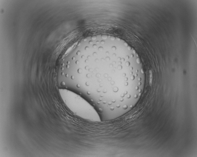 X0000057061059200509090811