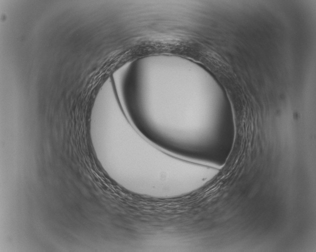 X0000057061061200509090811