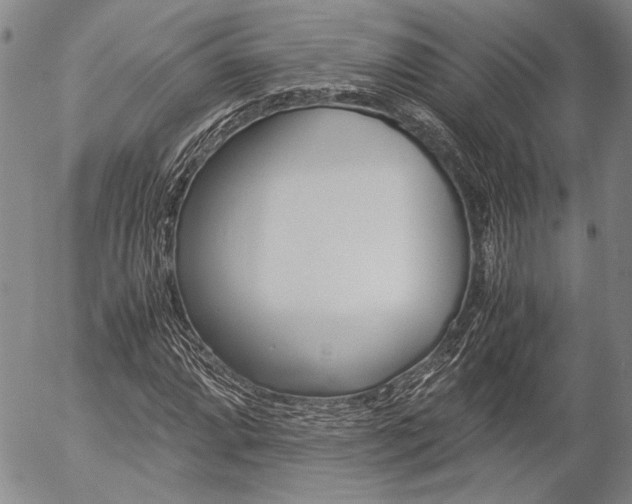 X0000057061064200509090811