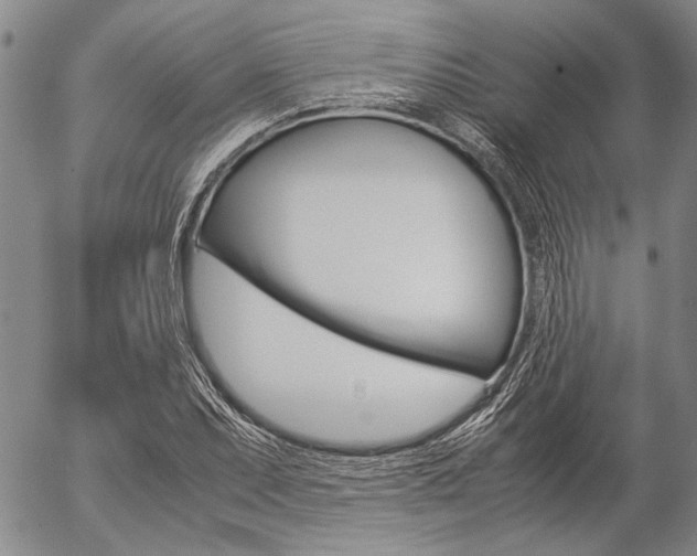 X0000057061071200509090811