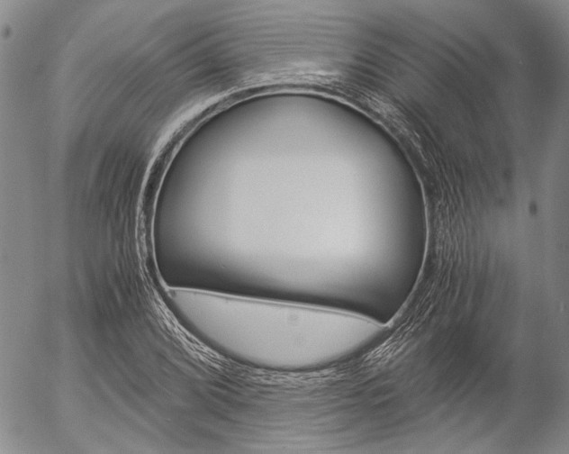 X0000057061072200509090811