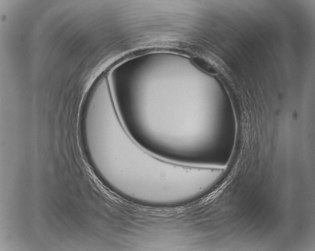 X0000057061077200509090811