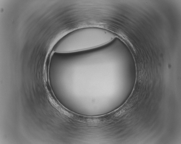 X0000057061080200509090811