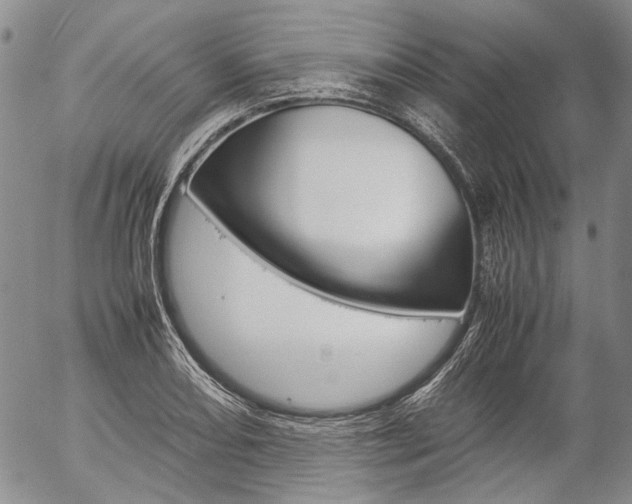 X0000057061082200509090811