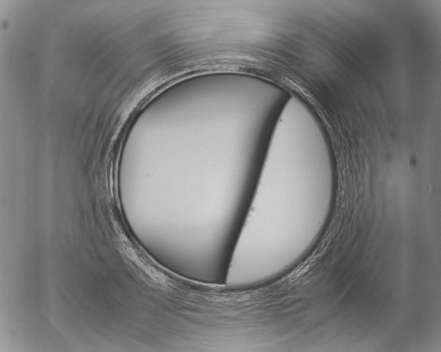 X0000057061083200509090811