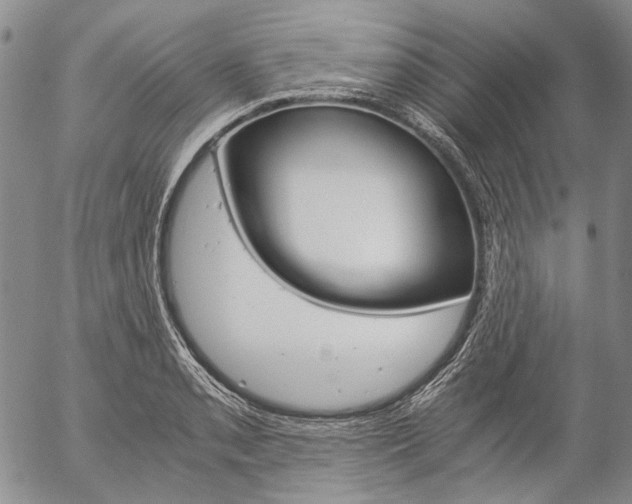 X0000057061085200509090811